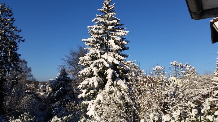 vollmond-dezember-2019-.jpg